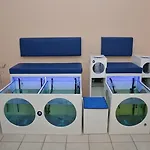 Hotel Kleopatra Dreams Alanya